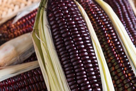 Fresh purple corn on wooden backgroundの写真素材