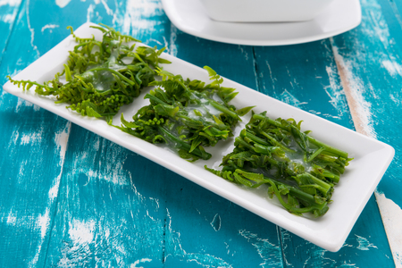 Softboil Paco fern (Diplazium esculentum) with coconut milk eat with shrimp paste healthy food thai styleの写真素材