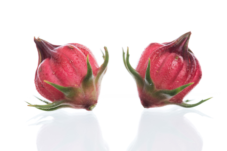 Hibiscus sabdariffa or roselle fruits isolated on white backgroundの写真素材