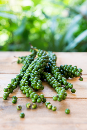 Fresh black pepper  on green blured backgroundの写真素材