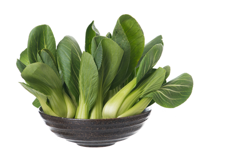 Pak Choy, fresh chinese cabbage isolated on white backgroundの写真素材
