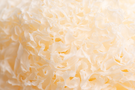 Dried snow fungus (Tremella fuciformis) isolated on white backgroundの写真素材