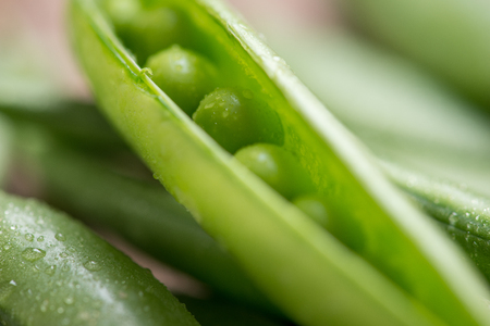 Pod of green pea , green peas, on wooden backgroundの写真素材