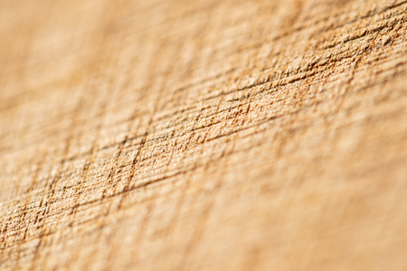Rough grunge cutting board wood texture surfaceの写真素材