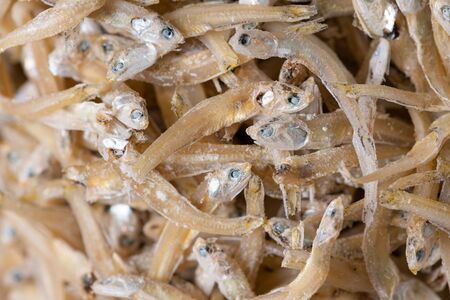 Sun dried tiny anchovies used in Asian cuisineの写真素材