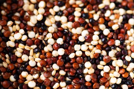 Set of quinoa Red, white and brown quinoa. With copy spaceの写真素材