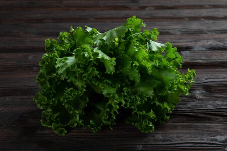 Fresh Frillice Iceberg Lettuce from hydroponic farmの写真素材