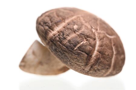 Shiitake mushrooms (Lentinus edodes) isolated on the white background.の写真素材