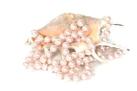 Pearl necklace and beautiful  seashell, isolated on whiteの写真素材