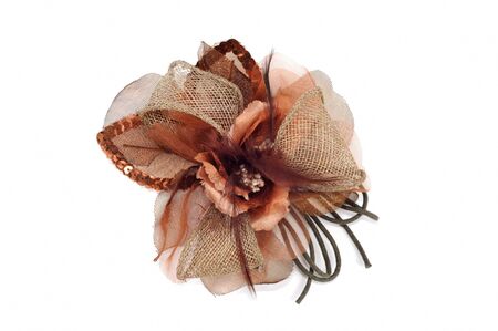 Brown  hair band on isolated on a white backgroundの写真素材