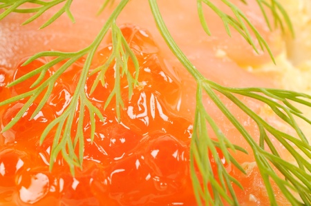 Red coviar canape, close up shotの写真素材