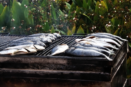 Fresh sea fish cooking on the grill , background,  close upの写真素材