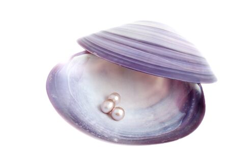Seashell with pearls