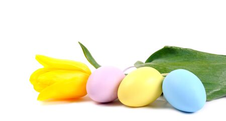 Easter eggs and flowersの写真素材
