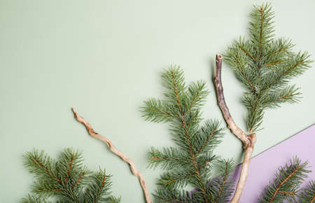 Christmas green framework background from pine tree branch top wiew, close up.の写真素材