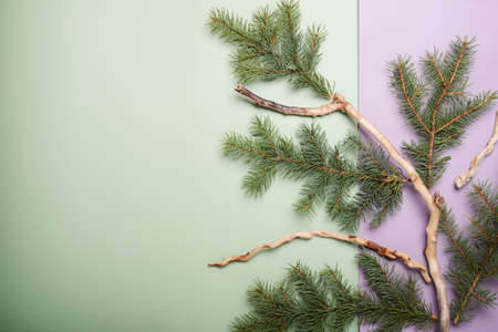 Christmas green framework background from pine tree branch and dry roots ,top wiew, space for text, close up.の写真素材