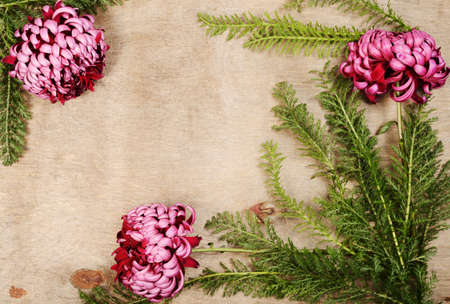 Vintage card concept, flowers frame on a old woodの写真素材