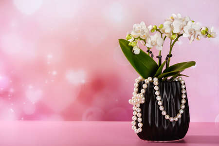 Valentine concept with orchid flower and pearlsの写真素材