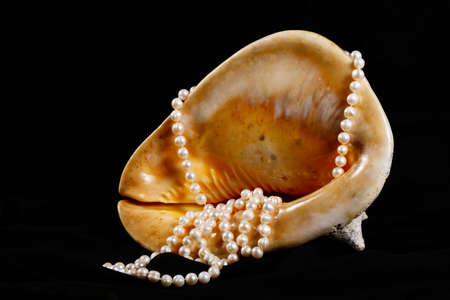 Seashell abstract background with mother of pearl seashell and naturel pearl necklace, over black.の写真素材