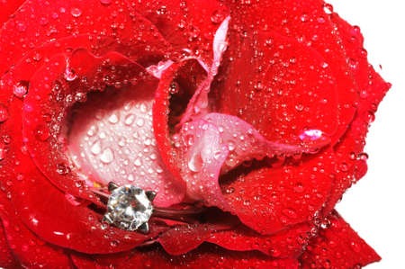 Dimond engagement ring inside of a red rose. Romantic image and loving propositionの写真素材