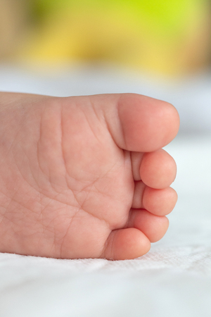 Little baby feet on white soft cloths in the background.の写真素材