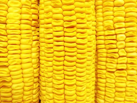Corn textureの素材