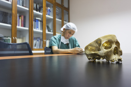 Skull model and doctor studying in the libraryの写真素材