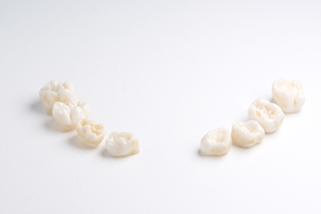 Row of deciduous or milk teeth on the white backgroundの写真素材