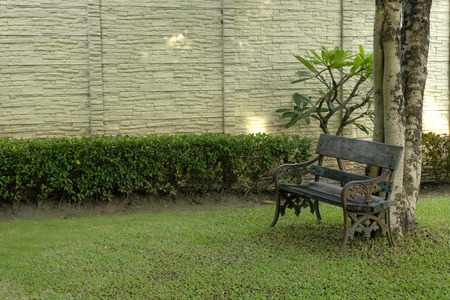 A wooden bench in the parkの写真素材