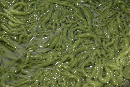 Lot Chong, a traditional Thai dessert made of rice eaten with coconut creamの写真素材