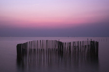 Beautiful sky after sunset and heart-shape woods in the seaの写真素材