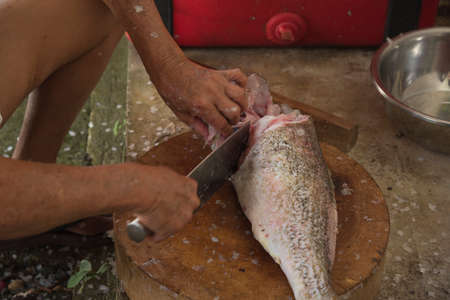 A man chopping a grouper fish on chopping block before cookingの写真素材