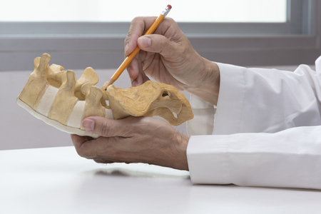 Doctor use pencil to demonstrate the anatomy of human lumbar spine model in medical officeの写真素材