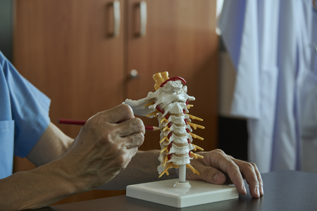 A neurosurgeon pointing and demonstrating anatomy of artificial human cervical spine model in medical officeの写真素材