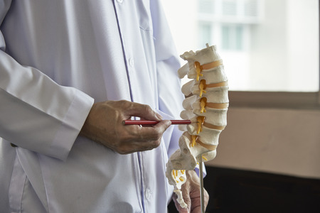 A neurosurgeon using pencil pointing at lumbar vertebra model in medical officeの写真素材