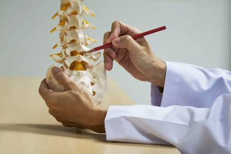 A neurosurgeon using red pencil demonstrating human lumbar spine model anatomy in medical officeの写真素材