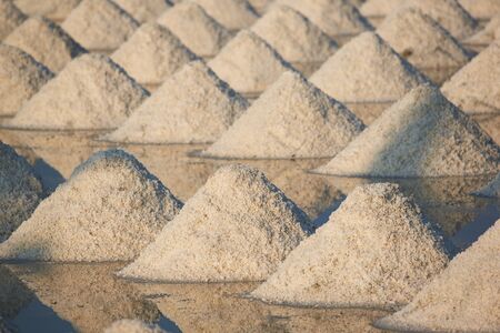 Morning sunlight and shadow of salt pan pattern in salt farmの写真素材