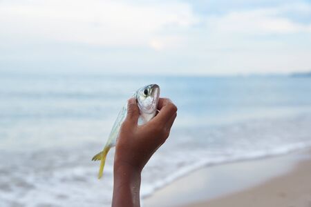 A yellow stripe trevally fish in the hand of fisherman.
