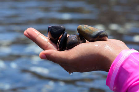 A woman holding beautiful smooth black stones on the palm at koh hin ngam, Satun province, Thailandの写真素材