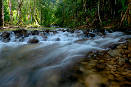 Scene of beautiful Ton Prai waterfall at Phang-gna province, Thailand.