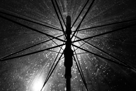 The embrella and rain in black and white mood toneの写真素材