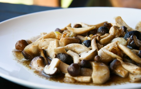 Mushroomsの写真素材