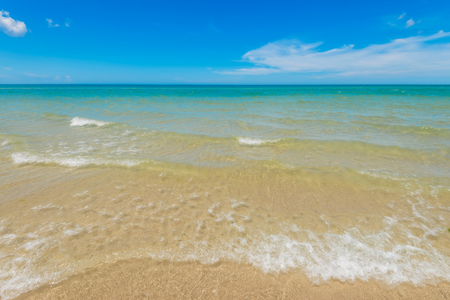 beach and tropical seaの写真素材