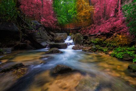 Amazing waterfall in autumn forestの写真素材