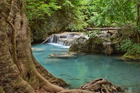 Blue waterfall with tree ahead