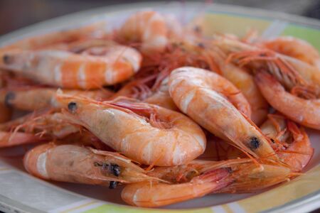 shrimps on the  plate