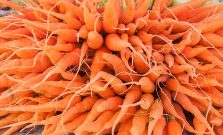 Baby Carrotの写真素材