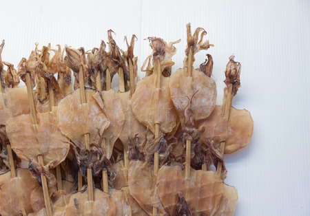 Dried squid on white backgroundの写真素材