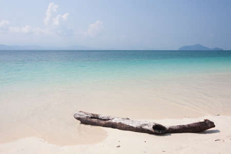 Wood on the beach.の写真素材