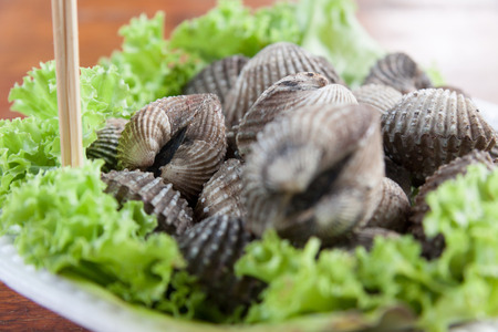 Fresh and delicious cockles for seafood backgroundの写真素材